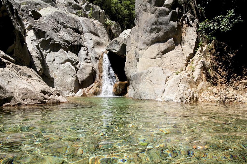 Gite Du Chalet Pietri Olivese Экстерьер фото
