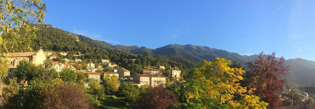 Gite Du Chalet Pietri Olivese Экстерьер фото