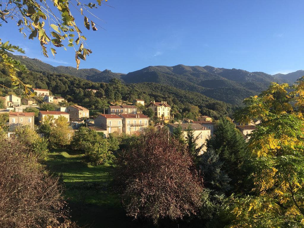 Gite Du Chalet Pietri Olivese Экстерьер фото