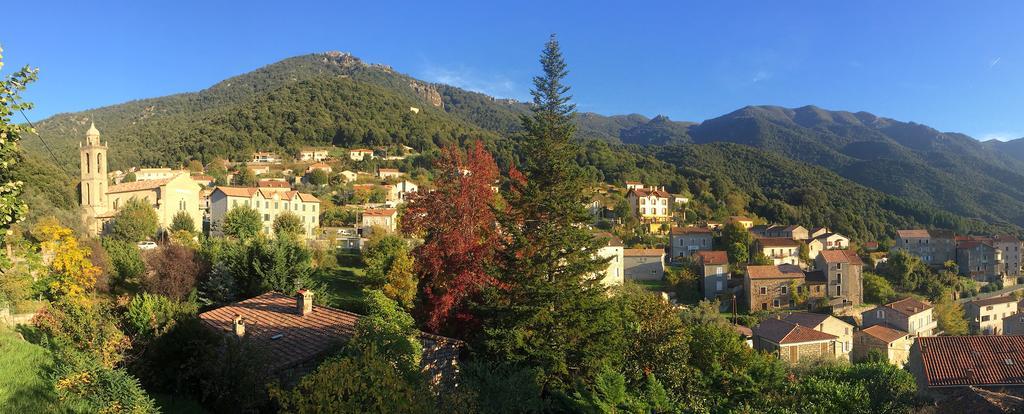 Gite Du Chalet Pietri Olivese Экстерьер фото